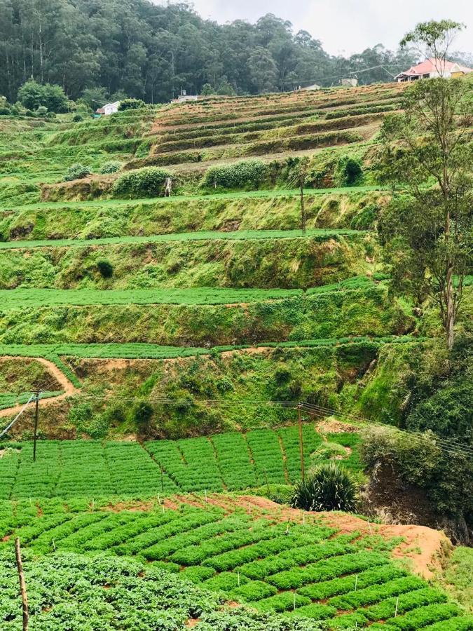 Mountain View Cottage Ooty Eksteriør bilde