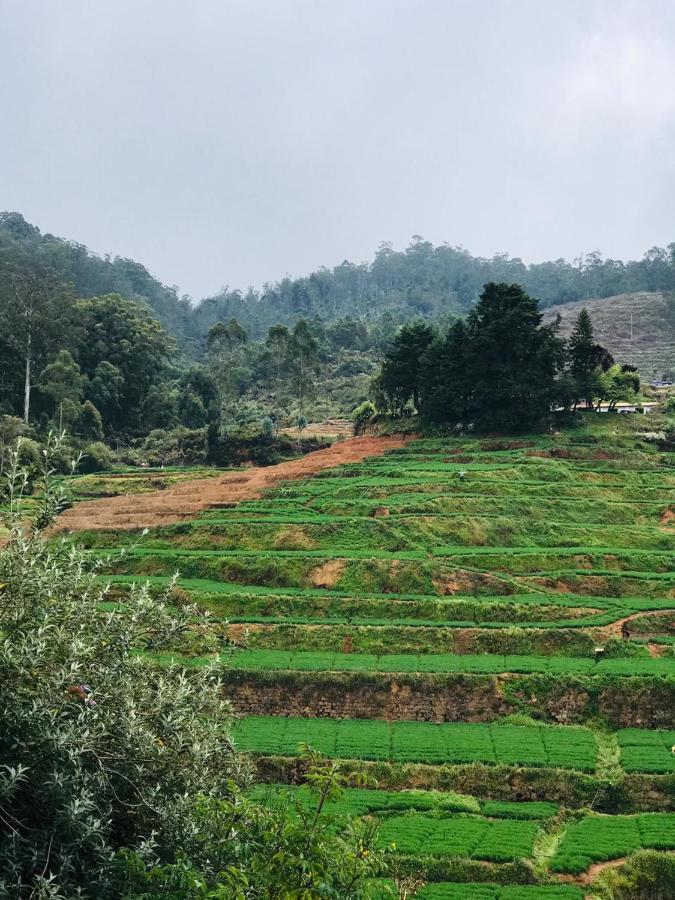Mountain View Cottage Ooty Eksteriør bilde