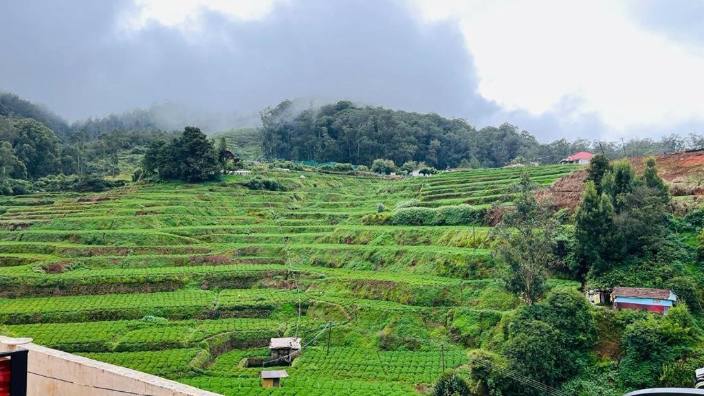 Mountain View Cottage Ooty Eksteriør bilde